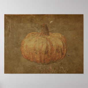 Pumpkin Vintage Antique Orange Hösten Struktur Poster