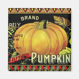 Pumpkin-vintage Magnet
