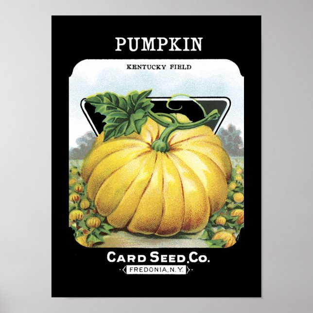 Pumpkin Vintage Seed Packet Poster (Framsidan)