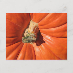 Pumpkin Vykort