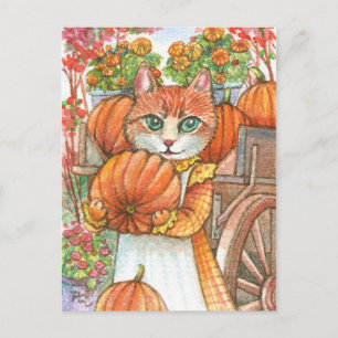 Pumpkin Vykort