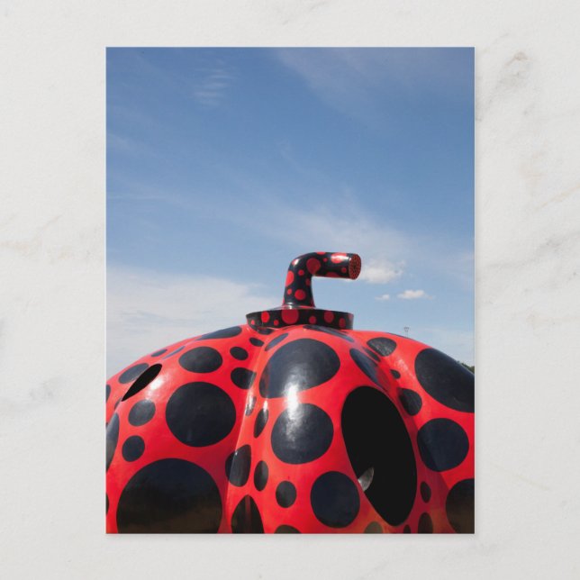 Pumpkin Vykort (Framsida)