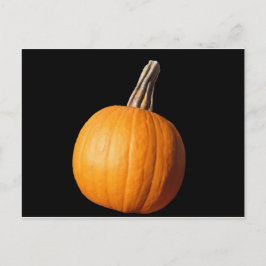 PUMPKIN VYKORT