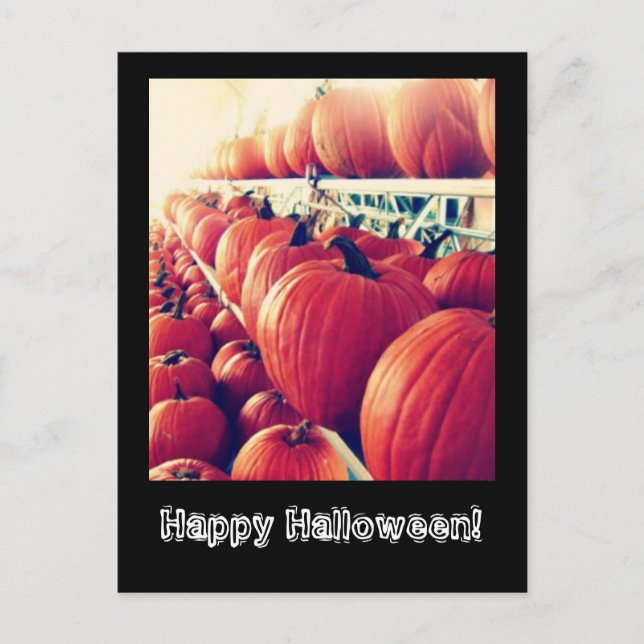 Pumpkin-vykort Vykort (Framsida)