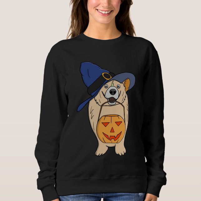 Pumpkin Witch Dog T Shirt (Framsida)