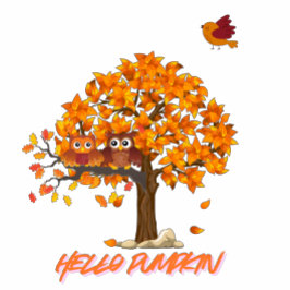 Pumpkin Women's Basic Fall T-Shirt