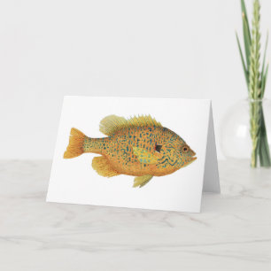 Pumpkinfrö Sunfish Watercolor Kort