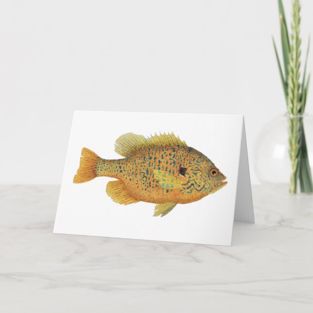 Pumpkinfrö Sunfish Watercolor Kort (Framsida)