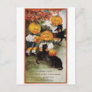 Pumpkins and Cats Vintage Halloween Vykort