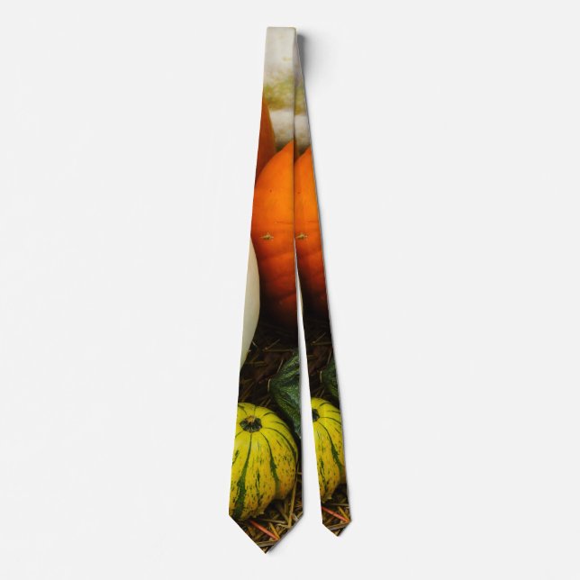 Pumpkins and Gourds Neck Tie Slips (Framsida)
