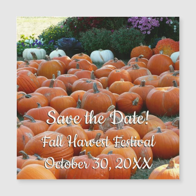 Pumpkins and Morsa Autumn Harvest Save Date (Framsida)
