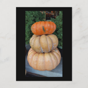 Pumpkins Autumn-vykort Vykort