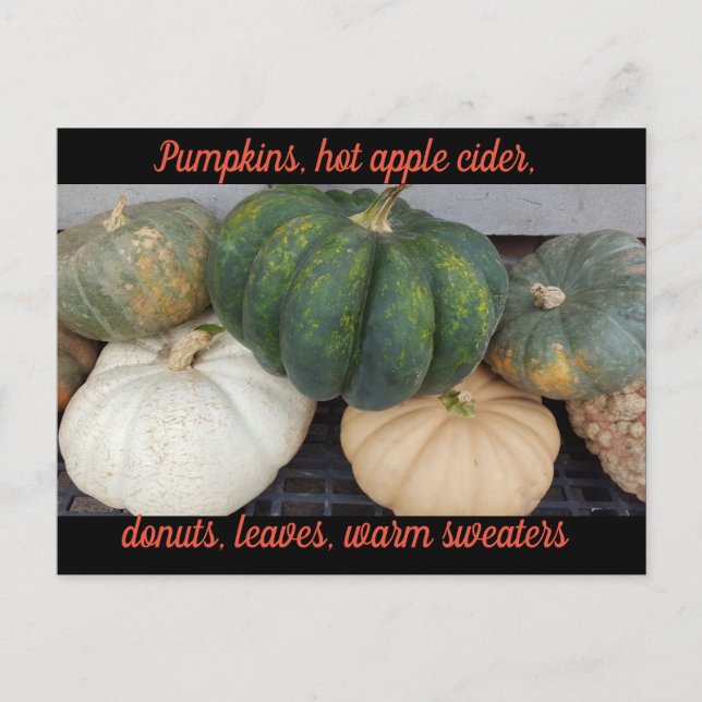 Pumpkins Autumn-vykort Vykort (Framsida)