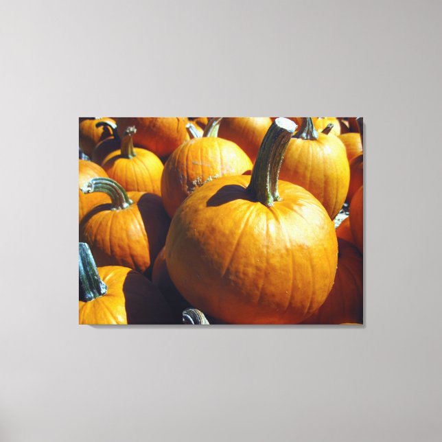 Pumpkins Canvas (Framsida)