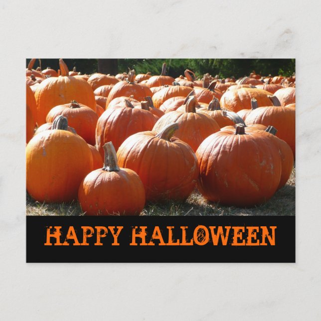 Pumpkins Card för happy halloween Vykort (Framsida)