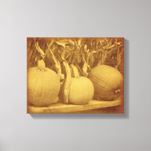 Pumpkins Cornstalks Fall Vintage Canvastryck
