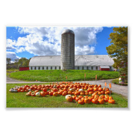 Pumpkins for Sale in Pennsylvania Farm Barn Fototryck