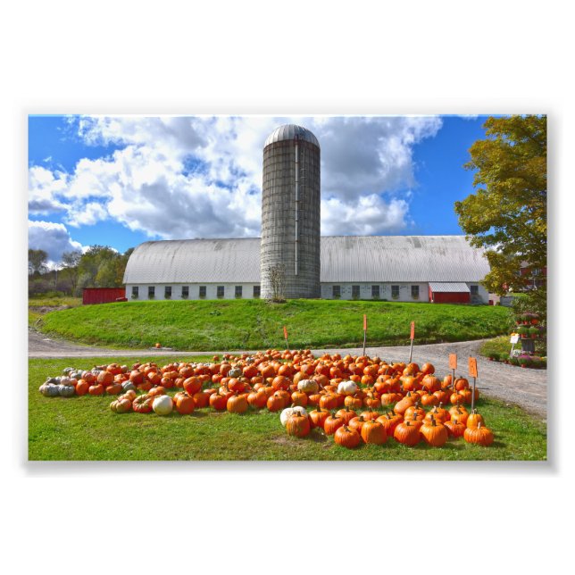 Pumpkins for Sale in Pennsylvania Farm Barn Fototryck (Framsidan)
