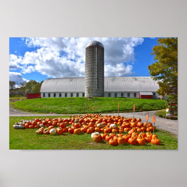 Pumpkins for Sale in Pennsylvania Farm Barn Poster (Framsidan)