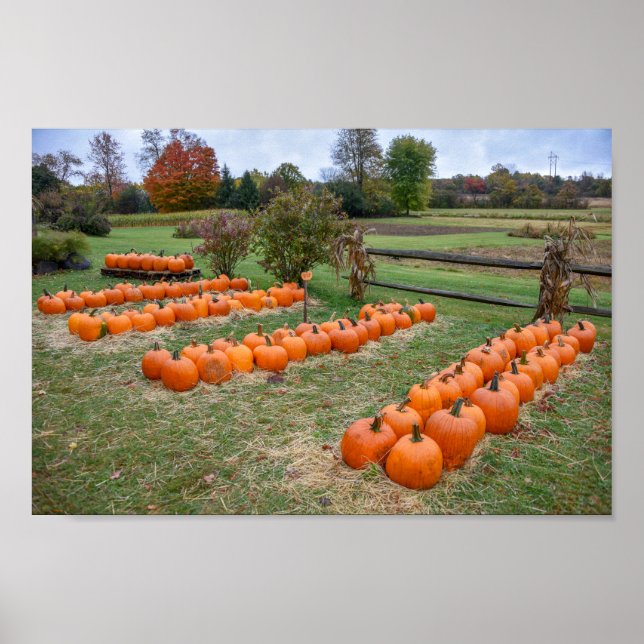 Pumpkins for Sale, New York Farm Poster (Framsidan)