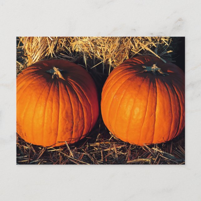 Pumpkins för tvillingVintage Vykort (Framsida)