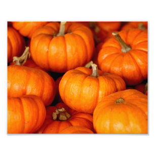 Pumpkins Fototryck
