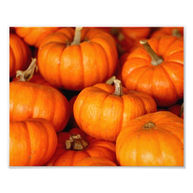 Pumpkins Fototryck (Framsidan)