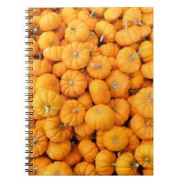 Pumpkins från Small Orange Fall Harvest Anteckningsbok