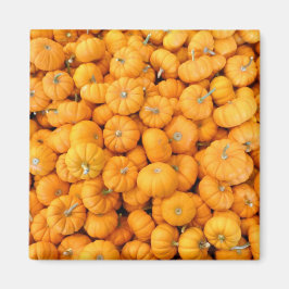 Pumpkins från Small Orange Fall Harvest Magnet