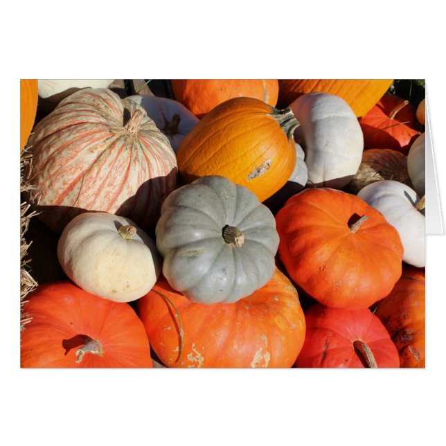 Pumpkins Greeting Card Hälsningskort (Framsidan Horizontal)