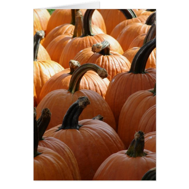 Pumpkins Hälsningskort (Framsidan)