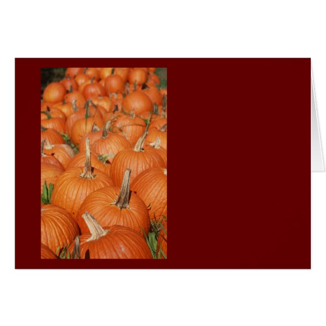 PUMPKINS! HÄLSNINGSKORT (Framsidan Horizontal)