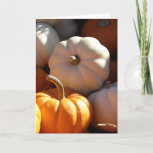 Pumpkins, Happy thanksgiving Helgkort