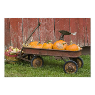Pumpkins i gammal kärra fototryck