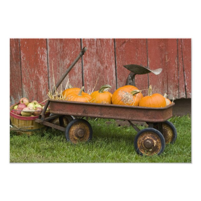 Pumpkins i gammal kärra fototryck (Framsidan)