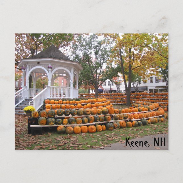 Pumpkins in Keene, NH Vykort (Framsida)