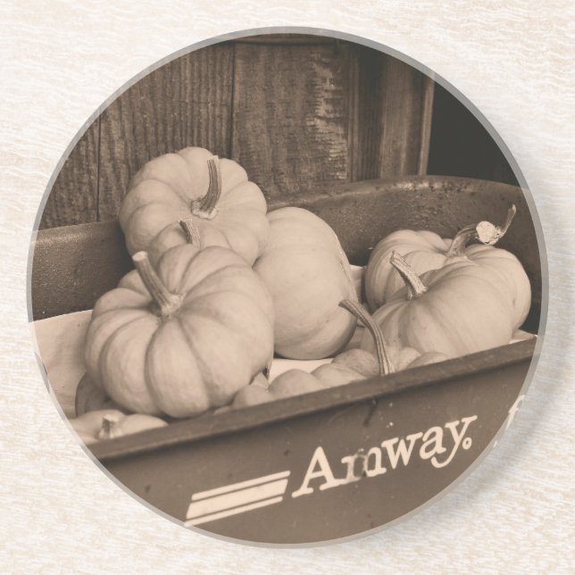 Pumpkins in Wagon Sepia Underlägg (Framsidan)