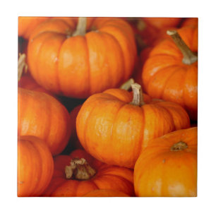 Pumpkins Kakelplatta