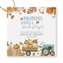 Pumpkins Leaves & Stacks of Hay Boy