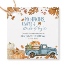 Pumpkins Leaves & Stacks of Hay Boy