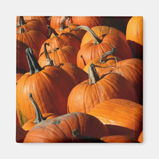 Pumpkins Magnet (Framsidan)