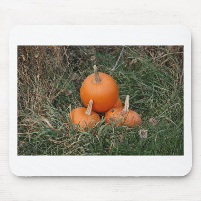 Pumpkins Musmatta (Framsidan)