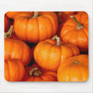 Pumpkins Musmatta