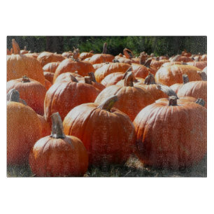 Pumpkins Photo for Fall, Halloween eller Thanksgiv