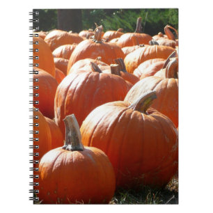 Pumpkins Photo for Fall, Halloween eller Thanksgiv Anteckningsbok Med Spiral