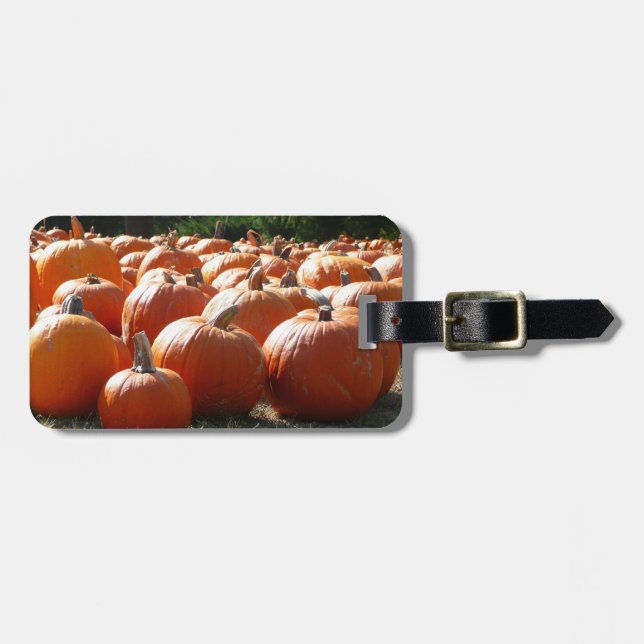 Pumpkins Photo for Fall, Halloween eller Thanksgiv Bagagebricka (Horisontell Framsida)