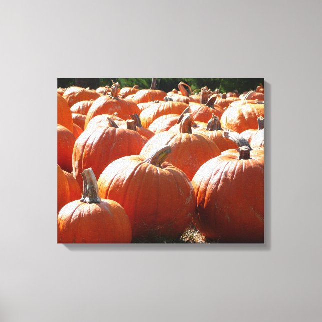 Pumpkins Photo for Fall, Halloween eller Thanksgiv Canvastryck (Framsida)
