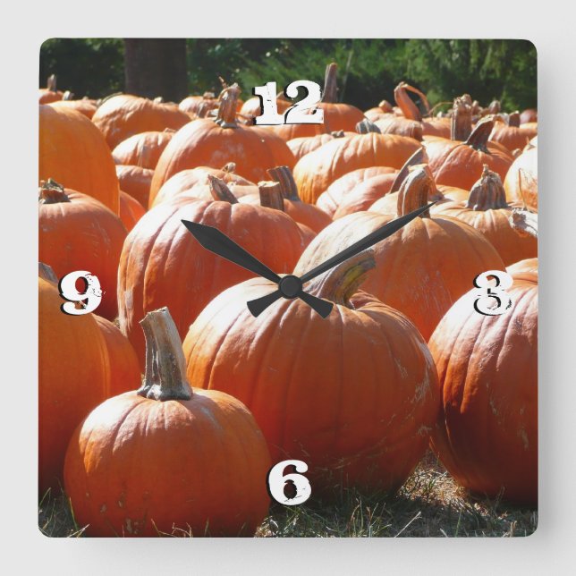 Pumpkins Photo for Fall, Halloween eller Thanksgiv Fyrkantig Klocka (Framsida)