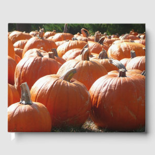 Pumpkins Photo for Fall, Halloween eller Thanksgiv Gästböcker