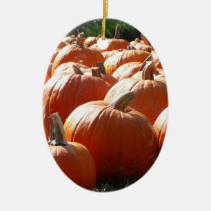 Pumpkins Photo for Fall, Halloween eller Thanksgiv Julgransprydnad Keramik